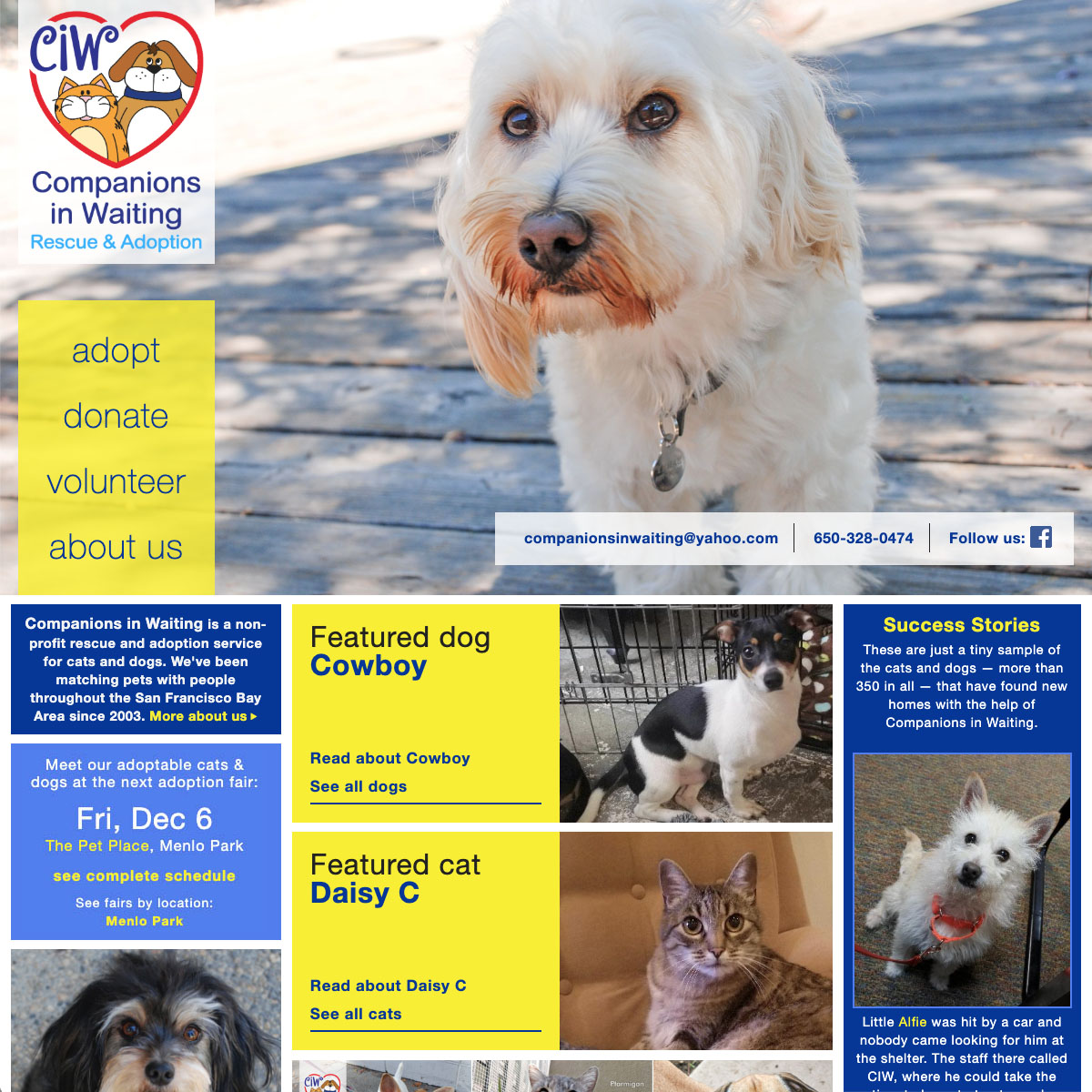 screenshot of the Companions in Waiting homepage, composed of blocks with yellow or blue backgrounds, and a large hero image of a small white dog.